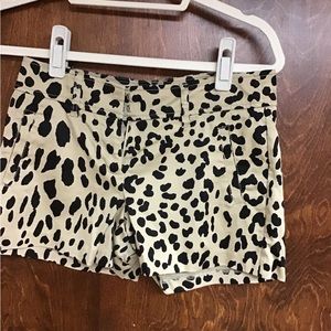 Women’s Animal Print Shorts.